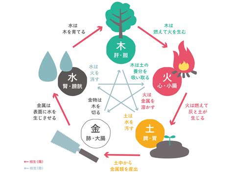 火 木 五行|五行説｜中国の自然哲学思想！万物は火・水・木・金 